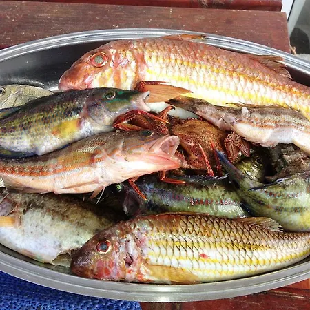 Ferienhaus House Mladen *