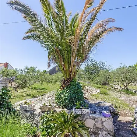 Tatil Evi House Mladen *